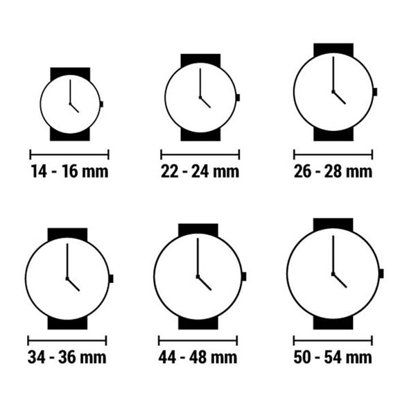 Dameur GC Watches X69106L2S (36 mm)